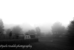Fog home 12