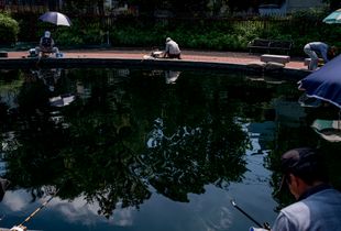 allons à la pêche