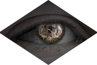 "The Reflection"
