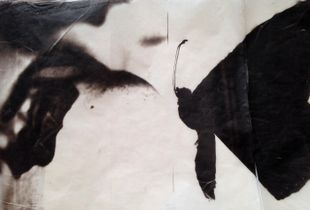 Her Butterfly Tattoo