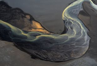 swan river