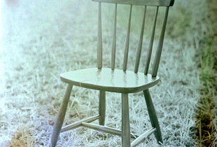 A chair placed in a rice paddy.