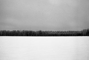 Winter Landscape