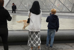 CANINE LOUVRE VISITOR