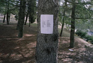 Poem by Frederico García Lorca pinned on Tree. Between Viznar and Alfracar, Andalucia, Spain. 2011