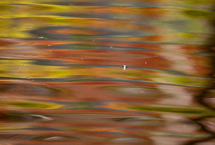 Impressioni d'autunno_02