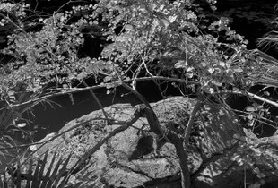 Untitled, Orlando, FL, 1 8 22, Photo by Joe Bruha, Copyright 2022