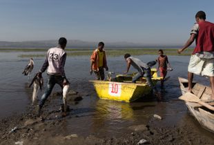 Men at Fishermen Work #2
