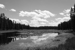 Reflection