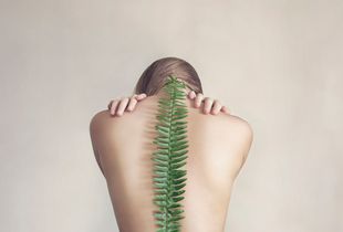Support (*Fern #1)