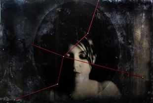 Cygnus_The Swan