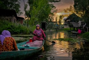 Backwaters of Dal Lake