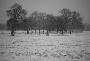 Brockwell Park