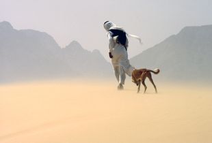 "Sandstorm In The Duna"