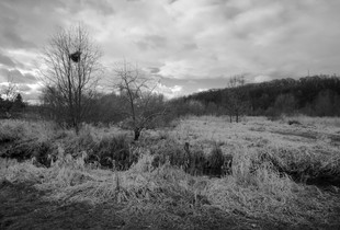 Late Autumn Landscape