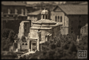 <a href="https://andrewprokos.com/photo/forum-romanum-ancient-senate/">Forum Romanum - Ancient Senate</a>