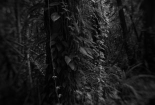Untitled, 2017