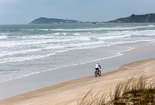Alone on the beach