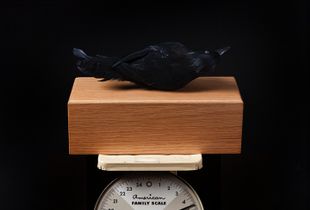The Weight of Things  21