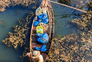 Pirogue
