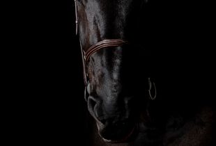 Black Diamond