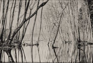 WetPlateLandscape SOURCE Series 6
