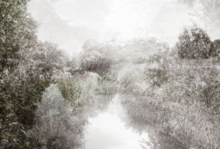 Possible Landscapes : Braake VI