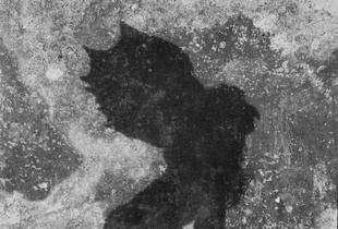 evil shadow