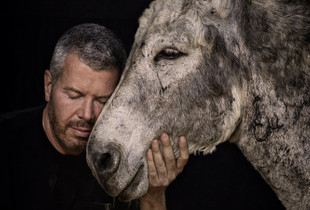Donkey Rescue