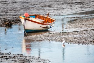 Awaiting An Incoming Tide