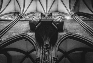 The Cathedral