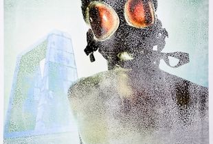curiosity 2 80x100cm