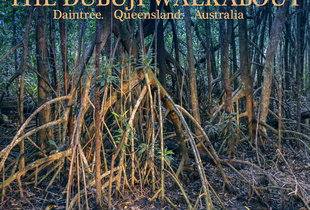 Dubuji Walkabout. Daintree. Australia