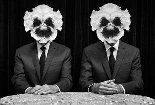 1. a pair of pansies
