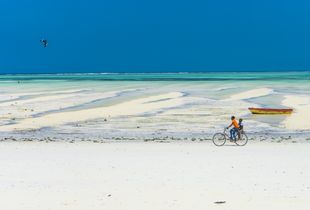 Shades of blue