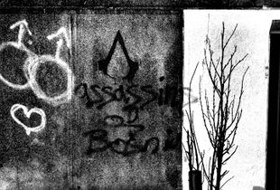 Who did what? Assassins of Bosnia