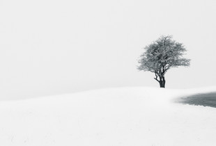 First Snow #1
