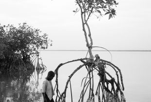 Knowing Roots