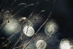 Matter, Light & Ice