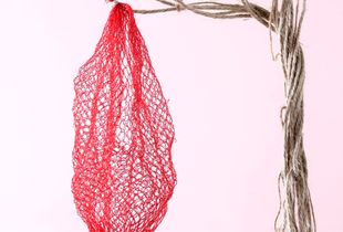 De la serie "La imagen mariposa" / From the series "The Butterfly Image"