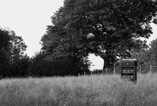Box in the field.