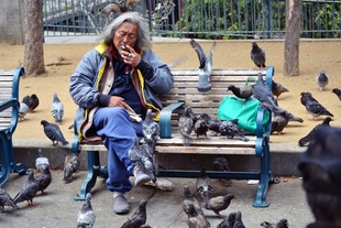 The Pigeon Man, San Francisco
