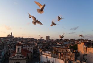 Havana Twilight