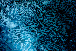 Blurred Boundaries of Reality (Pool_1)