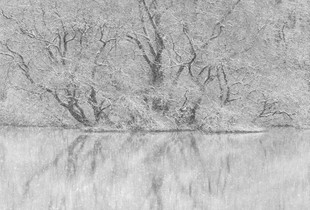 Snow in the floodplains