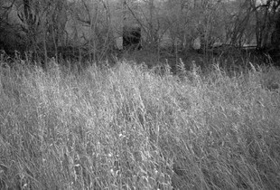 "The Internal Landscape"