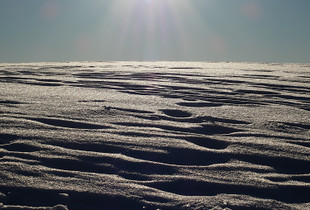 Kalte Sonne
