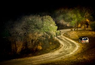 Forest Road Curves By Old Van