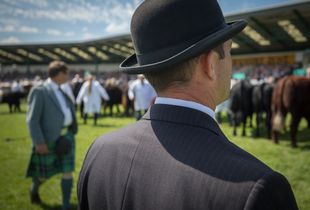 Steward and judge