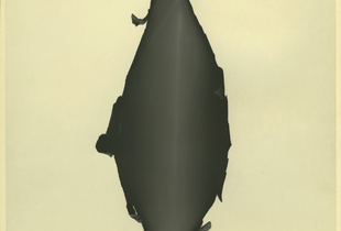Paper negative 1
